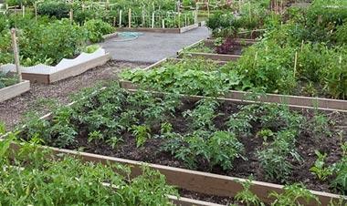Help Name the Accessible Community Garden